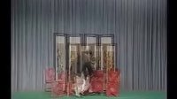 《三子争父》——经典相声，展现家庭温情与幽默！下载
