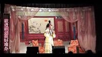 秦香莲后传 延津大平调剧团演出 大平调经典剧目下载