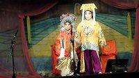 杨秀英告状