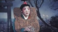 河南戏曲名家名段欣赏 汇聚豫剧、曲剧等多剧种经典，领略独特魅力