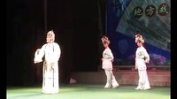 何西良 菏泽艺术节名家名唱演唱会 - 精彩戏曲盛宴