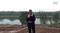 马坊怀梆演唱会3-3下载,马坊怀梆经典唱段,戏曲爱好者必看 马坊怀梆演唱会3-3下载,马坊怀梆经典唱段,戏曲爱好者必看