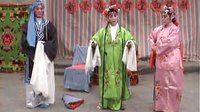 地方戏前堂四根弦剧 《双凤告》（选段）| 戏曲下载下载