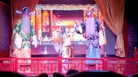 河南曲剧《二进宫》 经典剧目，精彩剧情不容错过！下载