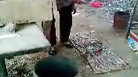 河南内黄井店迎春乐腔剧团 - 精彩戏曲下载下载
