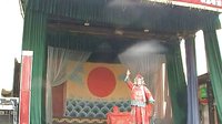 假婿乘龙