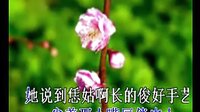 二夹弦 戏曲下载 | 经典剧目在线观看 二夹弦 戏曲下载 | 经典剧目在线观看