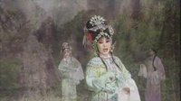 延津县二夹弦《追鱼》全本下载 - 经典戏曲剧目赏析下载