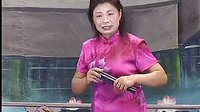 河南坠子《大清血头案》 王金环、王巧针倾情演唱，带你领略清朝江湖风云！下载