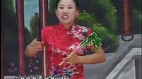 河南坠子《大明奇冤》第二部7 胡银花主演,精彩绝伦! 河南坠子《大明奇冤》第二部7 胡银花主演,精彩绝伦!