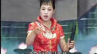 河南坠子小八义（上部）| 经典戏曲 | 范翠霞、王建国演唱下载