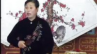 河南坠子一百零八侠 - 韩淑英演唱的经典曲目 河南坠子一百零八侠 - 韩淑英演唱的经典曲目
