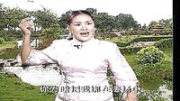 河南坠子《王莽赶刘秀》-莫红梅演唱经典片段,历史传奇戏曲下载 河南坠子《王莽赶刘秀》-莫红梅演唱经典片段,历史传奇戏曲下载