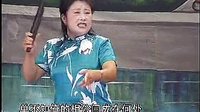 河南坠子《大清血头案》- 王金环、王巧针经典演绎，探寻清朝江湖恩怨情仇下载