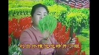 河南坠子《龙三姐拜寿》-经典戏曲下载 - 精彩剧情全解析下载