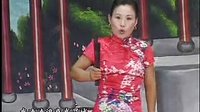 河南坠子《大明奇冤》第二部1 胡银花 - 高清画质尽享精彩剧情