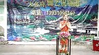 河南坠子《大闹淮安府3》- 经典戏曲下载 - 高清/标清版本