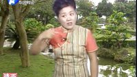 河南坠子《大红袍》-莫红梅演唱高清版,经典剧情不容错过! 河南坠子《大红袍》-莫红梅演唱高清版,经典剧情不容错过!