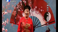 河南坠子《杨六郎扫北》- 李冬梅演唱 - 经典戏曲下载