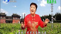 河南坠子《贤孝儿媳》下集 - 李冬梅演唱 | 戏曲下载