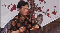 河南坠子南唐传6