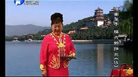 河南坠子《杨六郎扫北》- 李冬梅演唱 - 经典剧目赏析