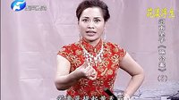 河南坠子《施公案》第05集 - 范翠霞王建国经典唱段_高清MP3下载下载