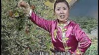 尤三姐拜寿