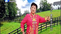 河南坠子《杨六郎扫北》- 李冬梅演唱 - 经典戏曲下载