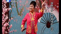 河南坠子《杨六郎扫北》- 李冬梅演唱经典剧目，领略杨六郎北征传奇
