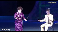 河南坠子《寸草心》- 刘瑞莲深情演唱，经典旋律再现孝道之美下载