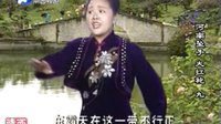 河南坠子《大红袍》- 莫红梅演唱高清版 - 戏曲下载网 河南坠子《大红袍》- 莫红梅演唱高清版 - 戏曲下载网