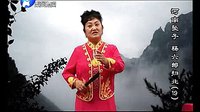 河南坠子《杨六郎扫北》- 李冬梅演唱经典曲目赏析