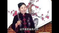 长篇河南坠子《一百零八侠01》 精彩剧情，聆听英雄传奇