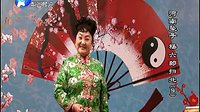 河南坠子《杨六郎扫北》- 李冬梅演唱经典曲目赏析