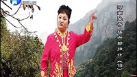 河南坠子《杨六郎扫北》- 李冬梅演唱经典曲目，感受杨六郎北伐的英雄气概！