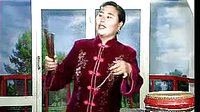 河南坠子《奇巧案》第四集 - 经典戏曲下载下载