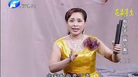 河南坠子《施公案》17 范翠霞王建国演唱_高清MP3下载 - 戏曲资源网下载