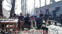 河南坠子 - 《20个闺女》 经典剧目，精彩不容错过！