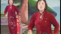河南坠子《施公案》第03集 - 邢书琴&魏琴凤经典唱段 | 全本音频下载下载