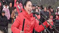 河南坠子兰考迎春书会