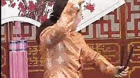 莫红梅河南坠子《海公传》之《大红袍》，经典戏曲全本下载下载
