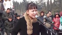 兰考迎春书会