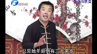 河南坠子《少侠包公案》全集下载 - 经典戏曲作品赏析