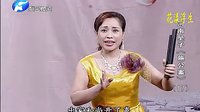 河南坠子《施公案17》- 范翠霞、王建国主演 - 大闹淮安府经典片段下载下载
