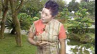 河南坠子大红袍7