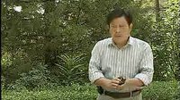 河南坠子小八义(上部)7 - 经典传统曲目,江湖好汉为正义而战 河南坠子小八义(上部)7 - 经典传统曲目,江湖好汉为正义而战