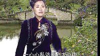 莫红梅河南坠子海公传大红袍9 莫红梅河南坠子海公传大红袍9