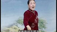 河南坠子《大明中红袍海瑞喊冤》 精彩剧情，不容错过！