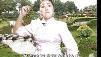 河南坠子王莽赶刘秀（第一部）4